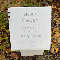 renovation-garden